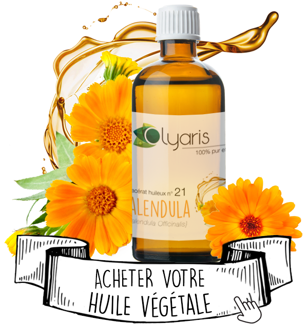 Huile Végétale de Calendula (Macérât Huileux) : le Guide d'Utilisation Complet - Olyaris